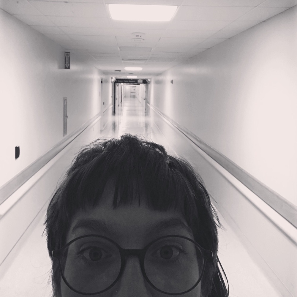 Meet your Posher, Mollie